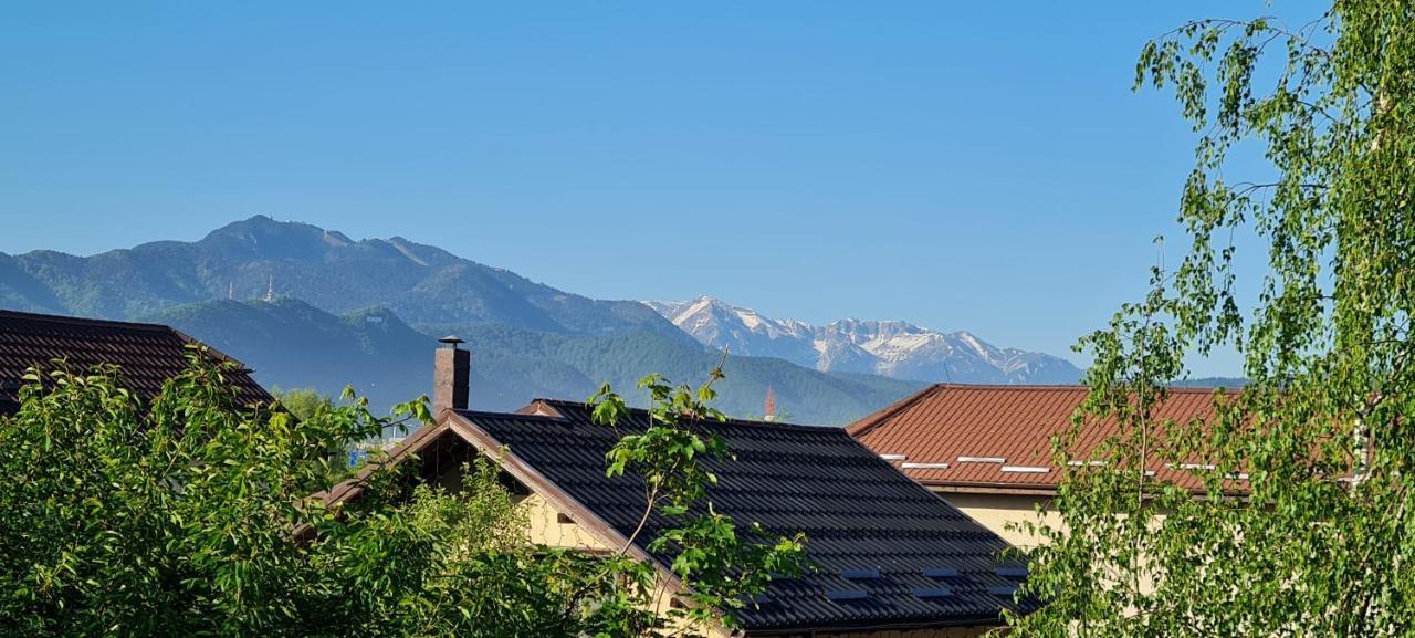 Apartament Casa Aryan Sînpetru Zewnętrze zdjęcie