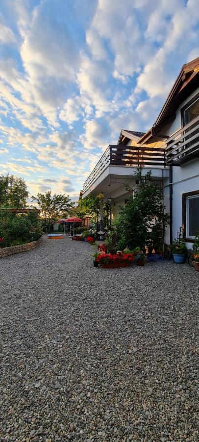 Apartament Casa Aryan Sînpetru Zewnętrze zdjęcie