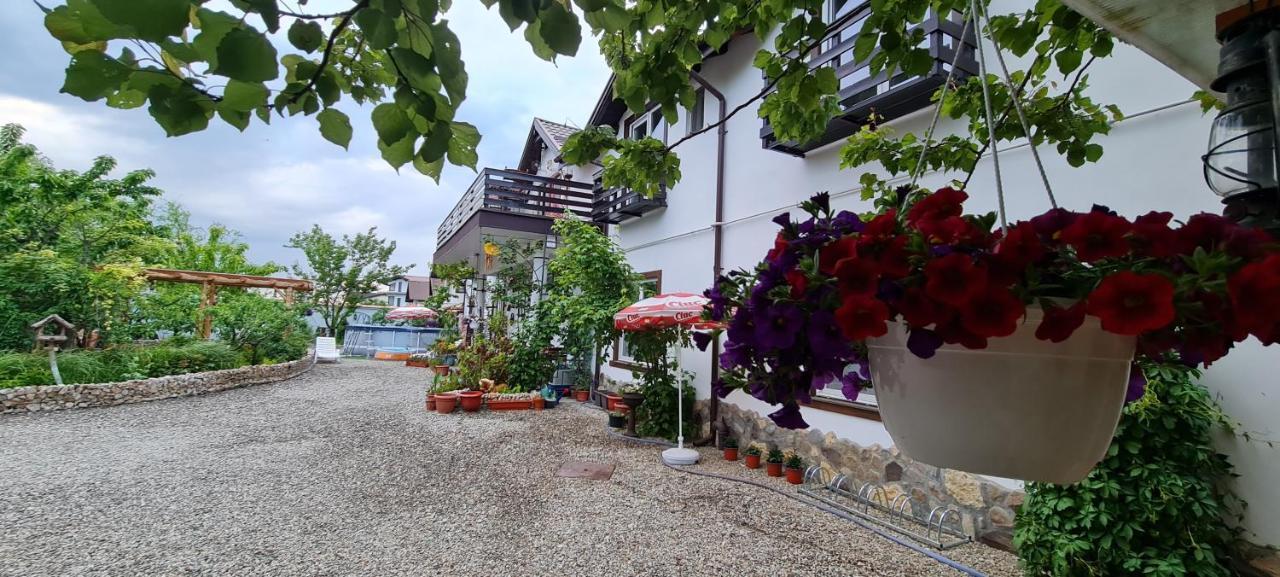 Apartament Casa Aryan Sînpetru Zewnętrze zdjęcie
