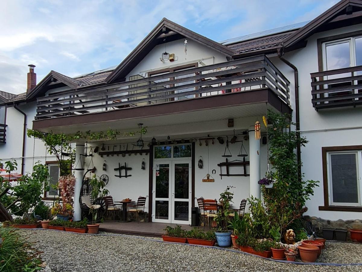 Apartament Casa Aryan Sînpetru Zewnętrze zdjęcie