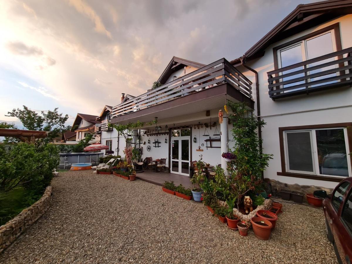 Apartament Casa Aryan Sînpetru Zewnętrze zdjęcie