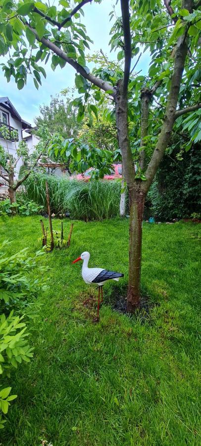 Apartament Casa Aryan Sînpetru Zewnętrze zdjęcie